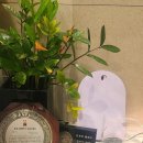 평온통합치과의원 | ​[광진구 치과 추천] 인생 치과 발견! 군자역 좋은미소치과의원 내돈내산 찐후기 🦷✨