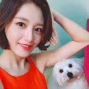 김재경 카카오 검색결과