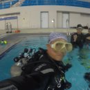 스킨스쿠버, 스킨다이빙(화) 이미지