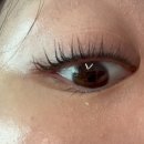 일본 속눈썹 마스카라 훌라 Foula 래쉬픽서블랙 - 속눈썹 블랙 코팅 에센스 강추 후기