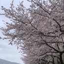 우마이라멘연산가족점 이미지