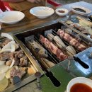 자유인의 카라반 이미지