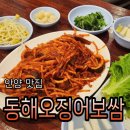동해시-56 | 안양역맛집 30년 또간집 매콤한 동해오징어보쌈 솔직후기