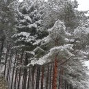 제216차 기상산악회 금강산화암사 신선대 산행결과 이미지