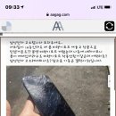 삼첩분식송정점 이미지