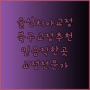 리틀원소아치과치과의원 이미지