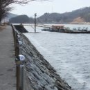 섬진강 매화 나루 이미지
