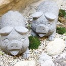 형제돼지국밥 이미지