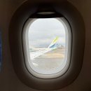 601 | 김해공항 올레주차장 및 발리항공편 에어부산 BX601 탑승 후기와 무료 사전 체크인 꿀팁!