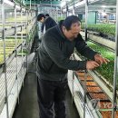 김경태농장 이미지