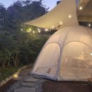 세이스테이 이미지