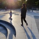 별솔농장 | 독소배출차 장독소 빼는 방법