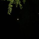 송암농장 이미지