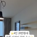 스테이시호일
