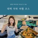 산양(산양보호구역) | 태백 차박 캠핑장 1박2일 여행 코스 추천, 소도야영장 예약부터 몽토랑 구문소 알짜 코스 총정리