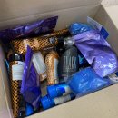 fitness SUIT 이미지