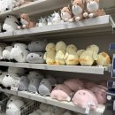 예스생활용품백화점 | 동탄 니토리 생활용품 추천 10% 할인 이벤트까지 (롯데백화점)