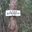 영천초교 이미지