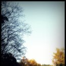 둔내유스호스텔 수영장 이미지