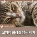 주안동물병원 이미지