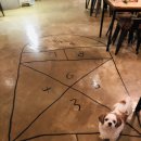 엉알게스트하우스 이미지