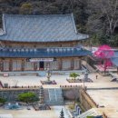 화엄사 서울신문