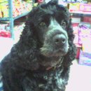 주사랑마트 이미지