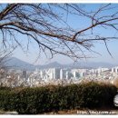 문현동 쌈지공원 네이버블로그