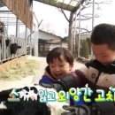 명우목장 이미지