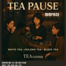 [서울/홍대] 티콤마 선생님의 일일찻집, Tea Pause 후기🌼