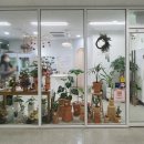 드리에 플라워 이미지