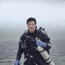 인투더스킨 네이버블로그