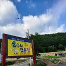 숲속의 정든집 야영장 이미지