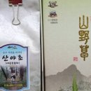 인동초민박
