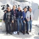 화령초교 Daum카페
