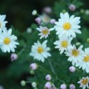 해곡리 | 전라도정자詩로 만난 인물-송운회(宋運會)-2