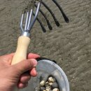 전북 고창 여행 / 동호해수욕장, 상하농원, 토굴된장(에어비앤비 숙소)