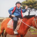 승마장 이미지