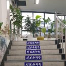 진보삼계탕 이미지