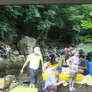 지리산산삼산야초 이미지