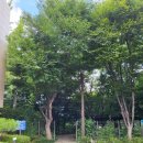 해맞이역사도서관 이미지