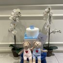 서울유앤치과의원 이미지