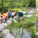 동물식물 생태체험교실 이미지