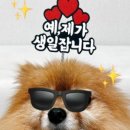 생일이개 이미지