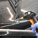 로얄게러지 이미지