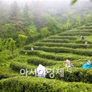 두륜산도립공원 관리사무소 이미지