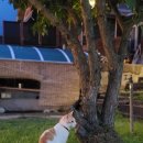 팝콘하우스펜션2 이미지