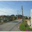 마정4리 이미지