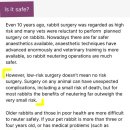 대한토끼 이미지