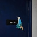 취향의공간 네이버블로그
